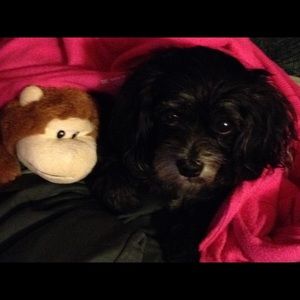 Meet your Posher, Aracely